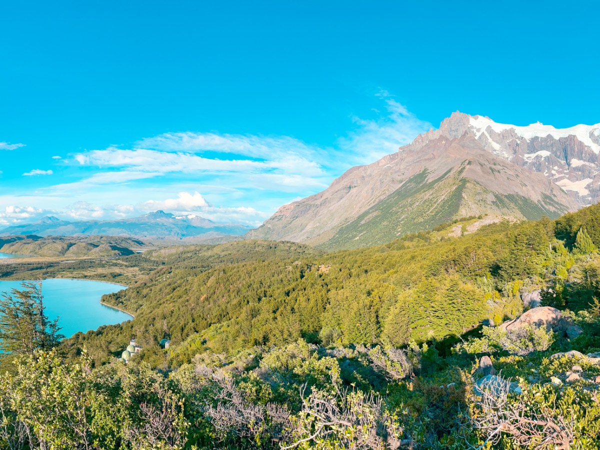 Without Cursing the Earth Beneath&nbsp;Me